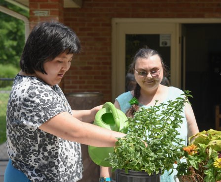 Watering Flowers